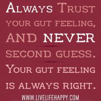 Gut Feeling quote #2
