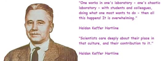 Haldan Keffer Hartline's quote #2