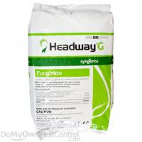 Headway quote #1