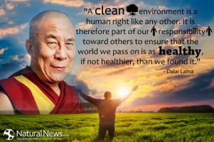Healthy Environment quote #2