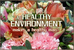 Healthy Environment quote #2