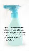 Homemaker quote #1