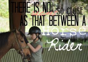 Horseback quote #1