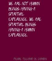 Human Experience quote #2