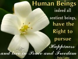 Human Right quote #2
