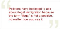 Illegal Aliens quote #2