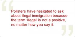 Illegal Immigrants quote #2