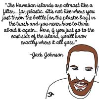 Jack Johnson's quote