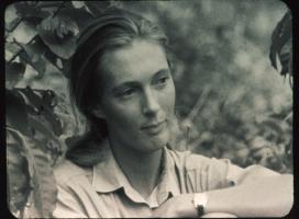 Jane Goodall profile photo