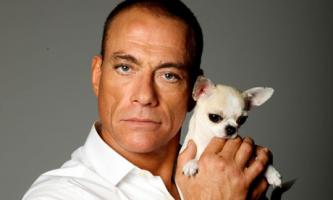 Jean-Claude Van Damme profile photo