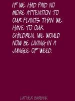 Jungle quote #4