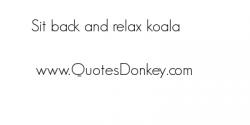 Koala quote #2