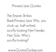 Leia quote #2