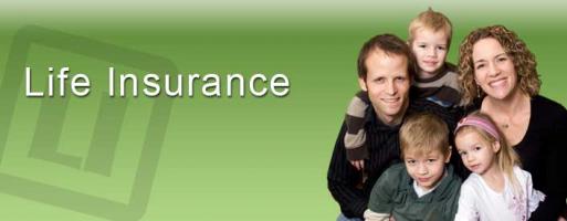 Life Insurance quote #2