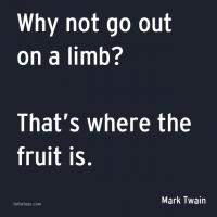 Limb quote #2