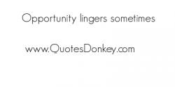 Lingers quote #1