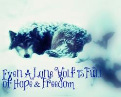 Lone Wolf quote #2