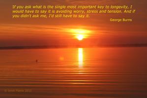 Longevity quote #7
