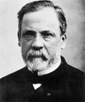 Louis Pasteur profile photo