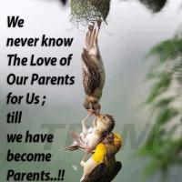 Loving Parents quote #2