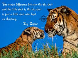 Major Difference quote #2