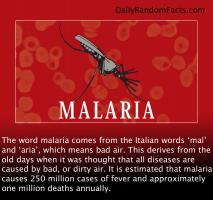 Malaria quote #2