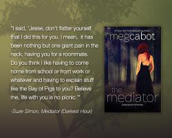 Mediator quote #2