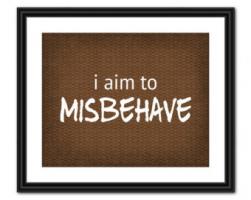Misbehave quote #1