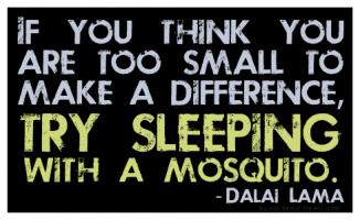 Mosquito quote #1