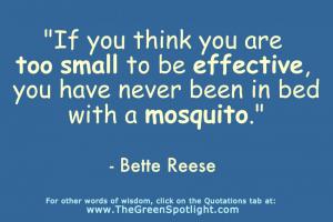 Mosquito quote #1