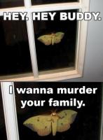 Moth quote #1