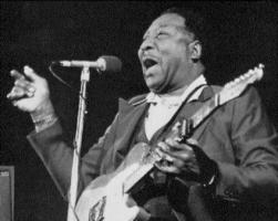 Muddy Waters quote #2