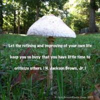 Mushroom quote #1