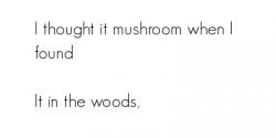 Mushroom quote #1