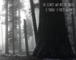 National Parks quote #2