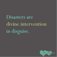 Natural Disaster quote #2