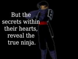 Ninja quote #1