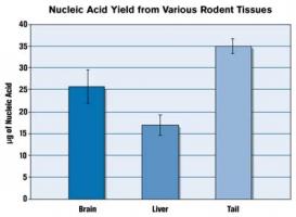 Nucleic quote #2