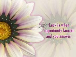 Opportunity Knocks quote #2