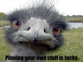 Ostrich quote #2