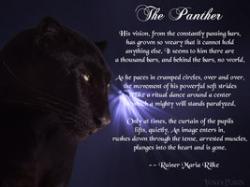 Panther quote #2