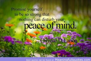 Peace Of Mind quote #2