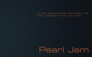 Pearl Jam quote #2
