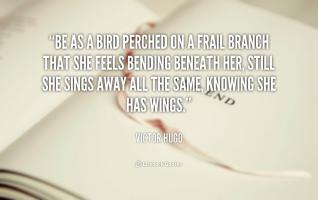 Perched quote #2