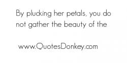 Petals quote #2