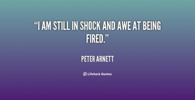 Peter Arnett's quote #3