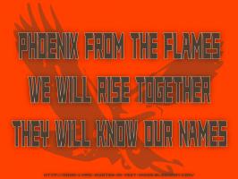 Phoenix quote #2