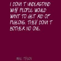 Pigeons quote #1