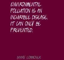 Polluting quote #2