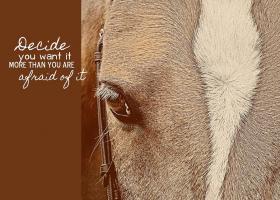 Pony quote #1